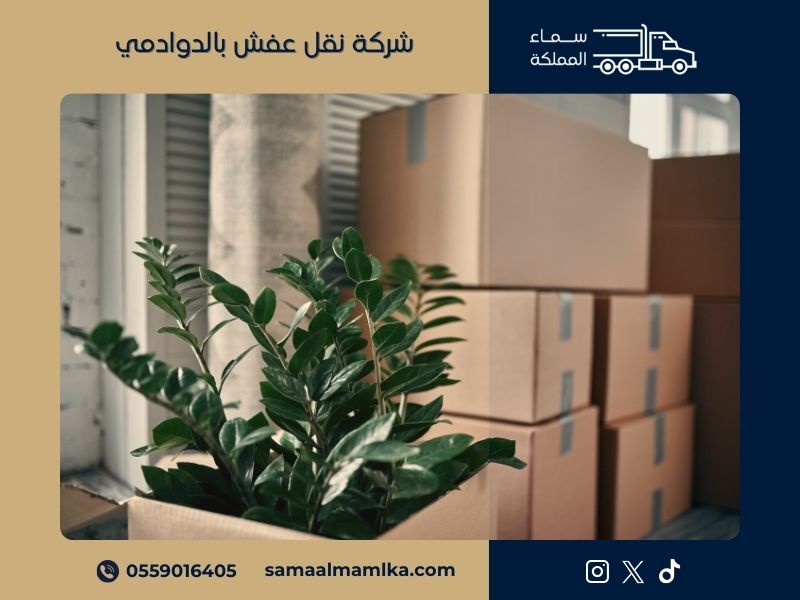 شركة نقل عفش بالدوادمي