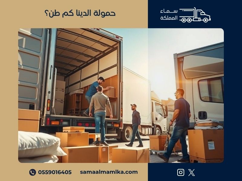 حمولة الدينا كم طن؟ 