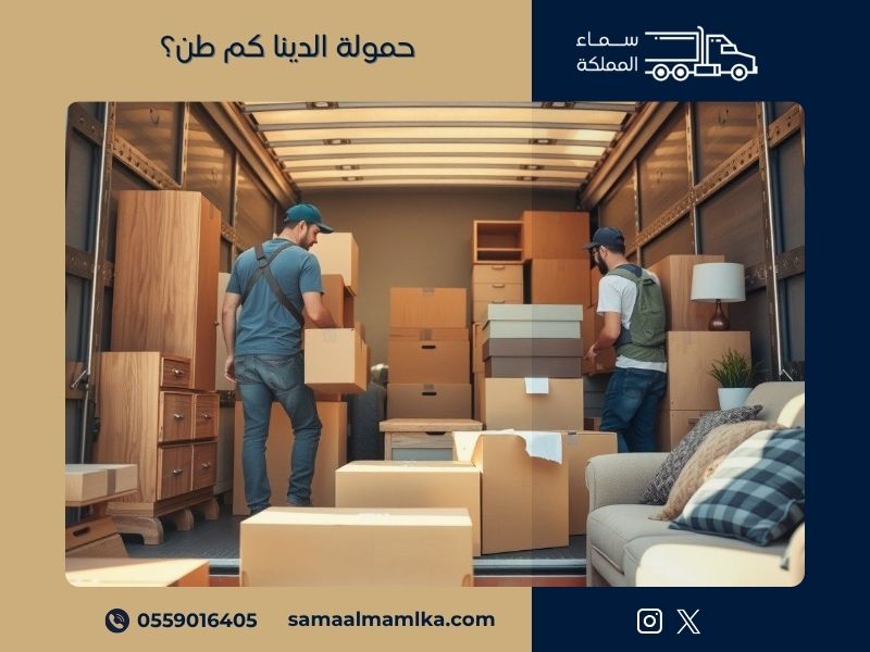 حمولة الدينا كم طن؟ 