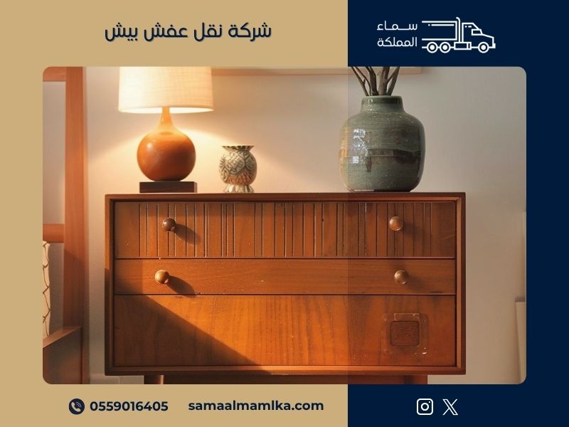 شركة نقل عفش بيش